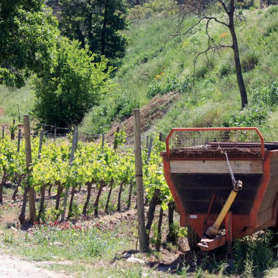 domaine viticole golfe de saint-tropez